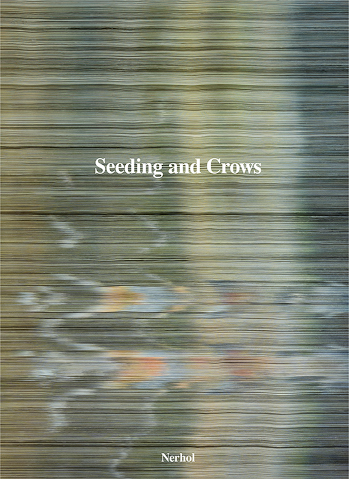 種蒔きと烏 種蒔きと烏