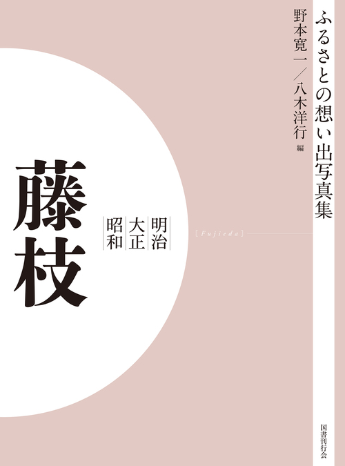 ふるさとの想い出写真集　明治大正昭和　藤枝　オンデマンド版