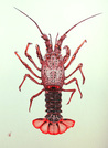 Hummer-JPG.jpg